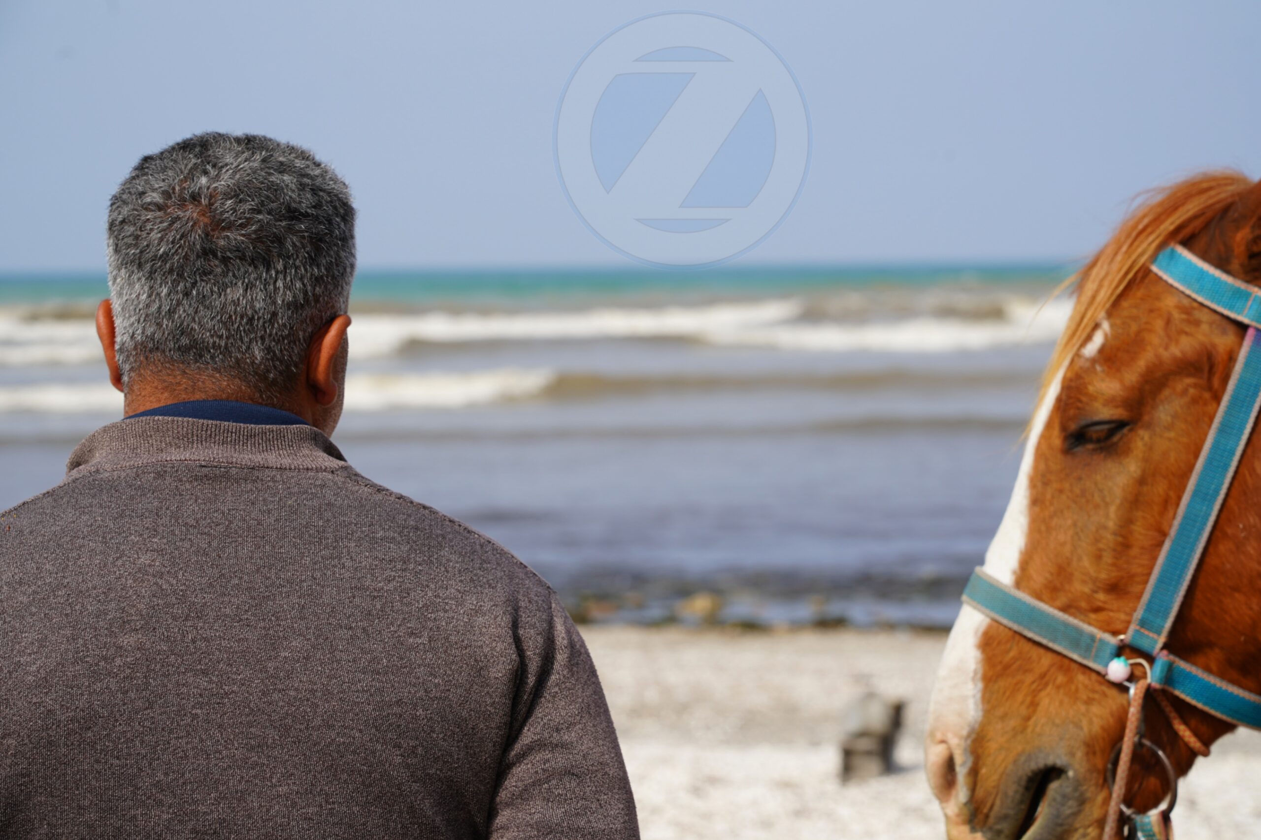 A Photo Exposed by Sony a7 III Mirrorless - Ebrahim pourbagher - ozer.ir