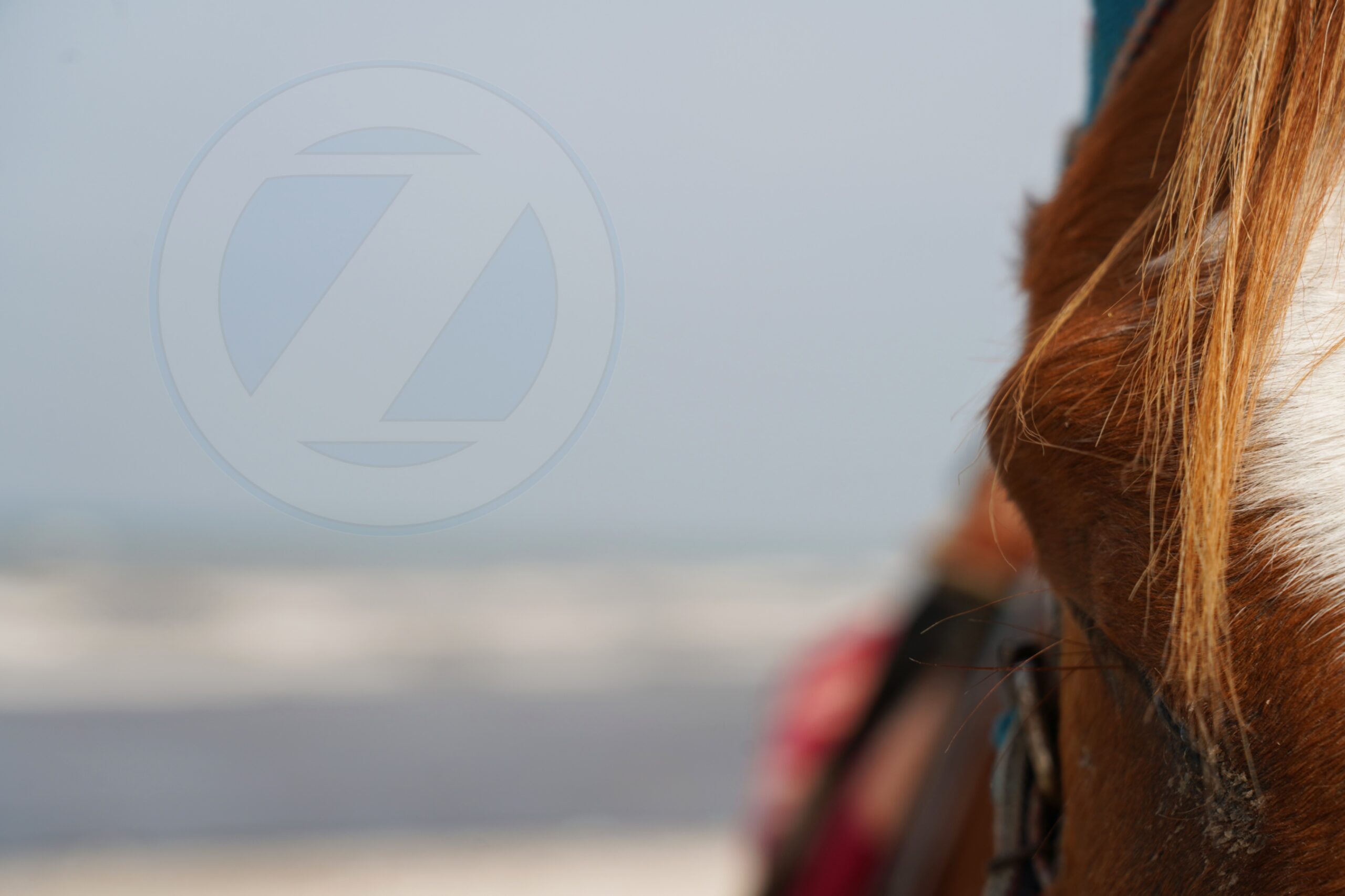 ozer.ir ozer ebrahim pourbagher sony a7