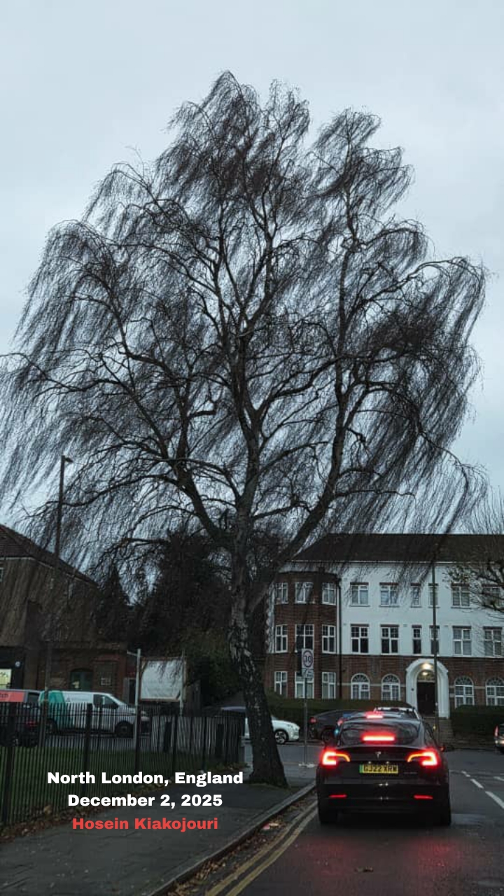  North London, England
December 2, 2025